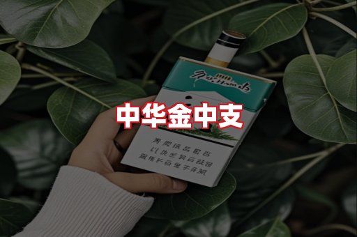 中华金中支