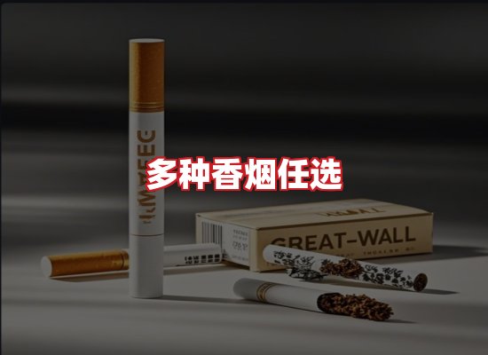 专业团队